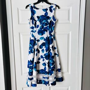 Calvin Klein Women’s Blue Floral Shabby Chic A~Line Sleeveless Twirl Dress